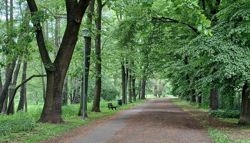<p>Nowe lampy w Parku Szczytnickim</p>