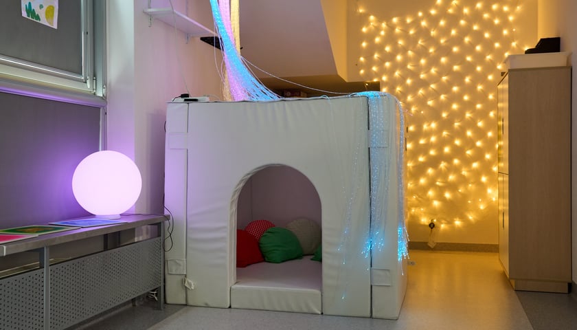 <p>Sala integracji sensorycznej w przedszkolu integracyjnym nr 35 &bdquo;Tęczowy Domek&rdquo; przy ul. gen. K. Pułaskiego prezentowana podczas konferencji zorganizowanej 23 sierpnia z okazji uruchomienia we Wrocławiu 35 nowych sal</p>