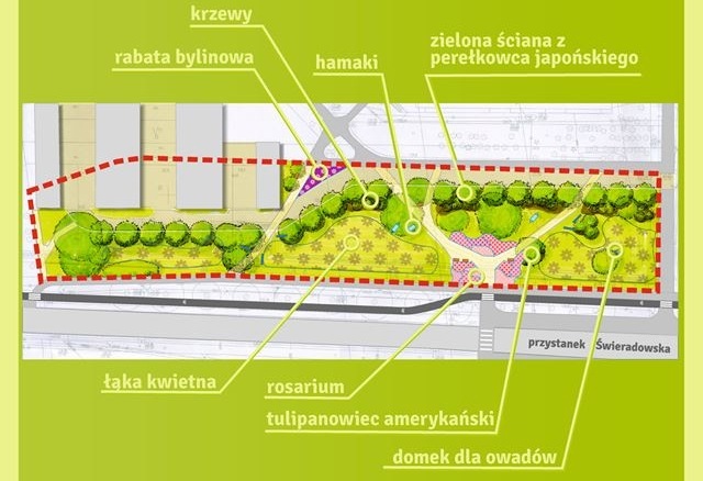 projekt "zielonej ściany" na Gaju