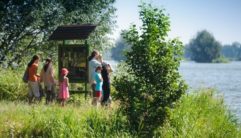 Dni Karpia - poprzednie edycje