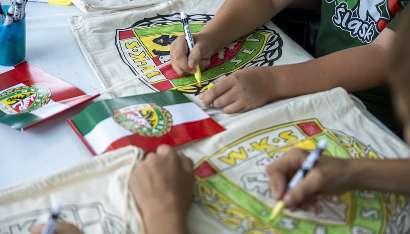 Festyn na Przedmieściu Świdnickim, 8 września 2024