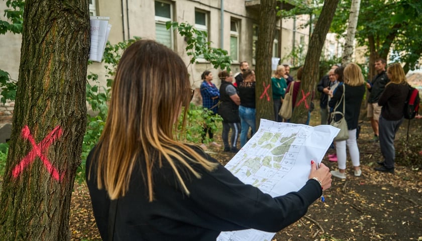 Wycinka drzew na kleczkowskim podwórku została na razie wstrzymana.  Na zdjęciu grupa ludzi wśród drzew, na pierwszym planie kobieta trzymająca projekt rewitalizacji podwórza