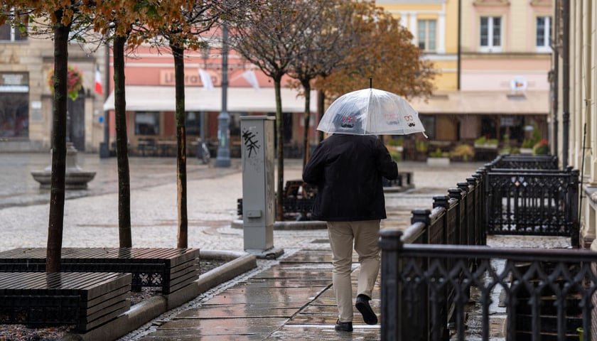 Deszcz we Wrocławiu, na zdjęciu: mężczyzna z parasolką