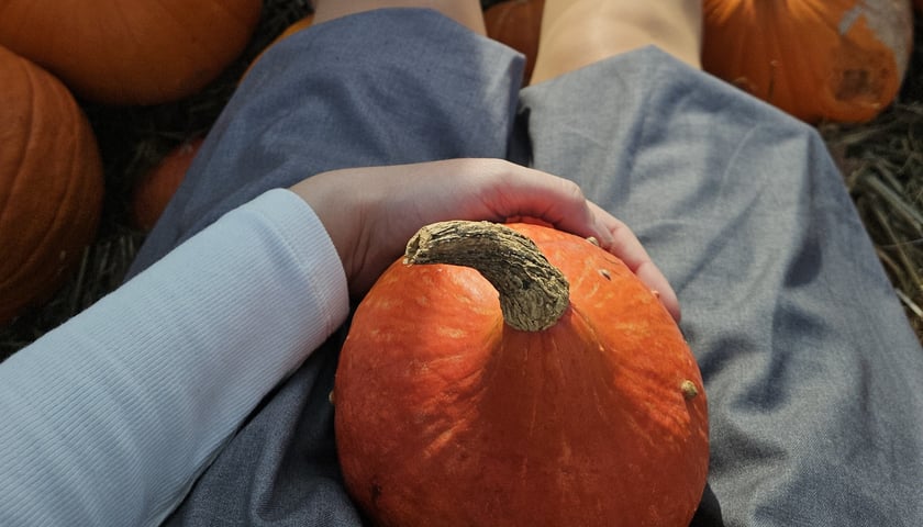 Na zdjęciu kobieta obejmująca dłonią małą dynię.