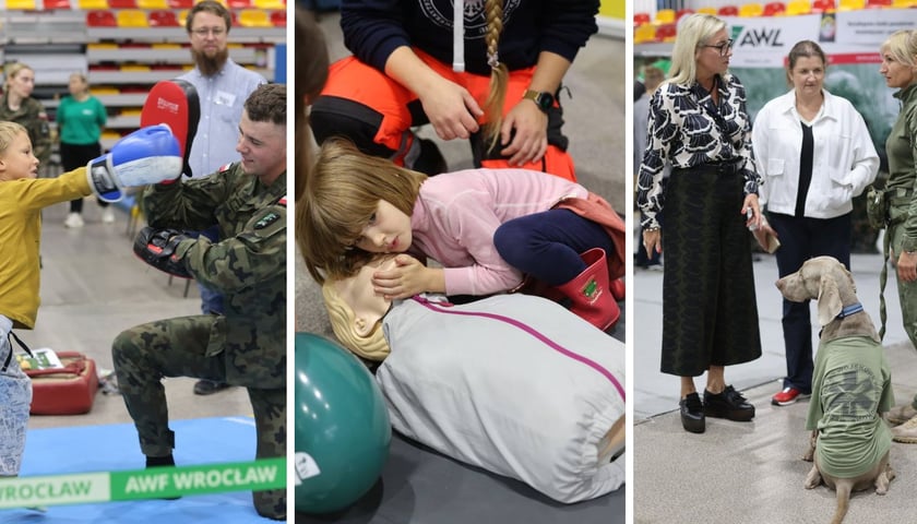 Atrakcje podczas Miasteczka Naukowego w ramach Dolnośląskiego Festiwalu Nauki