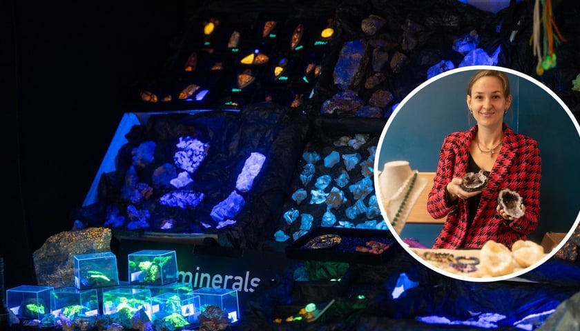 Minerały świecące pod wpływem ultrafioletu i kobieta pokazująca ciekawe egzemplarze minerałów
