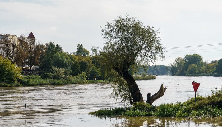 Odra we Wrocławiu. Zdjęcie ilustracyjne