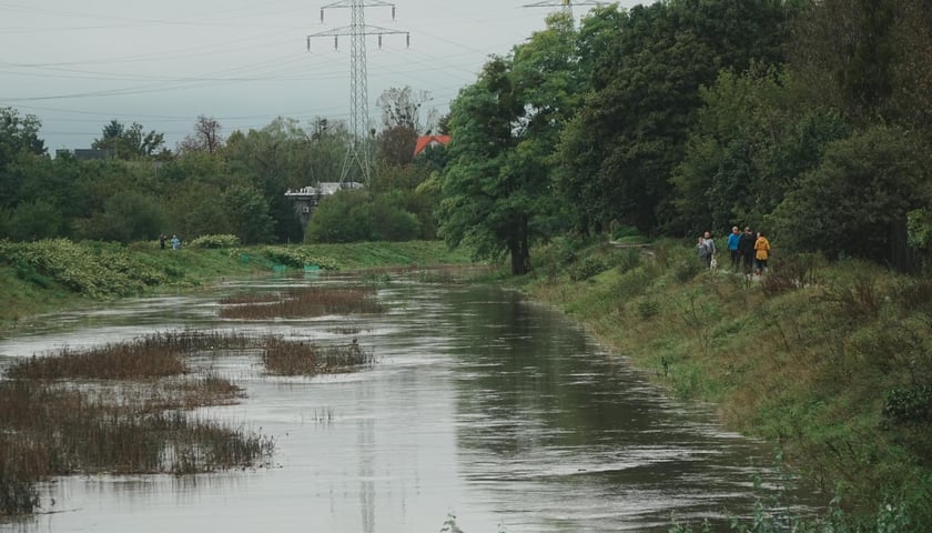 Mężczyzna patrzy na rzekę we Wrocławiu