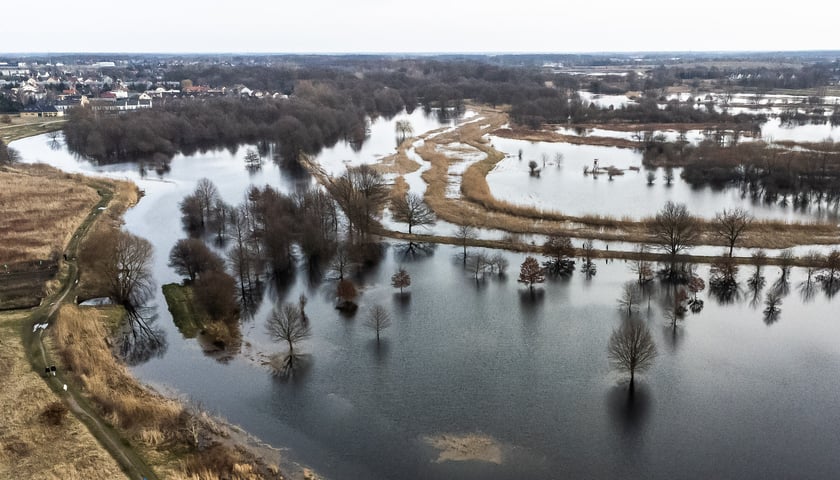 Повінь у Вроцлаві.