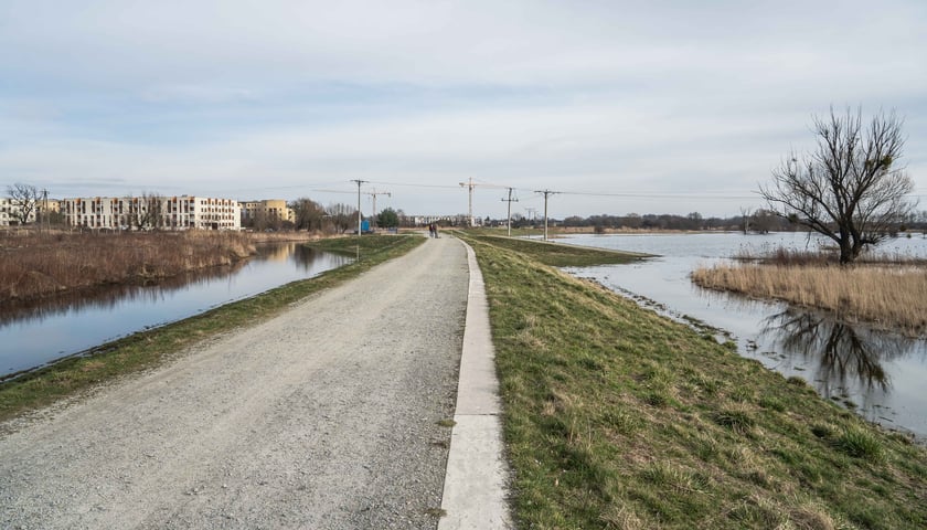 Повінь у Вроцлаві.