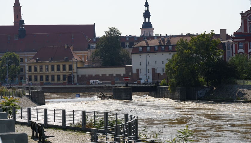 Odra we Wrocławiu, 18.09.2024