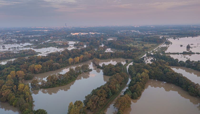 Polder Oławka