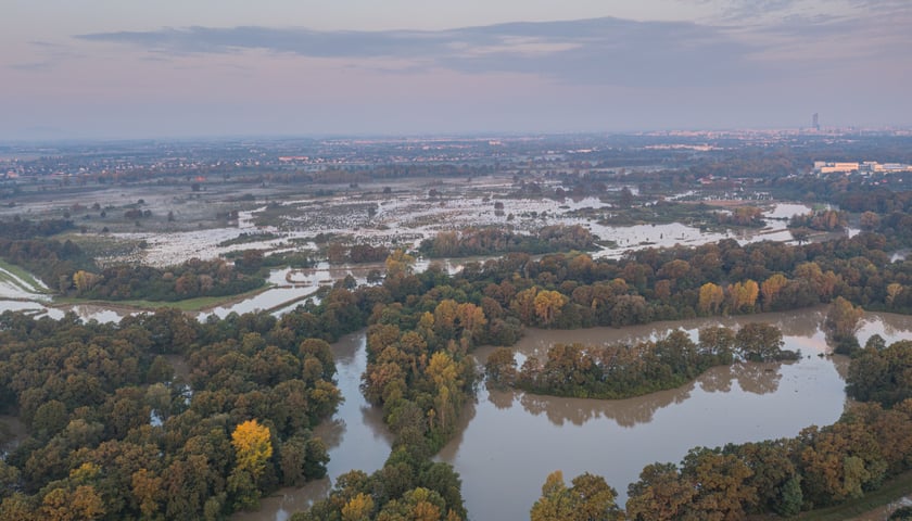 Polder Oławka i wylewająca się na wysokości Blizanowic na pola Odra - 19.09.2024