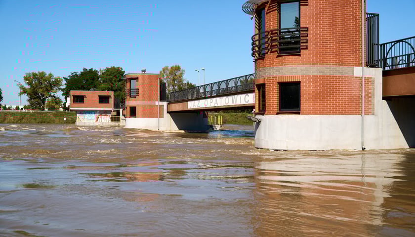 Patrol policyjny na Odrze we Wrocławiu