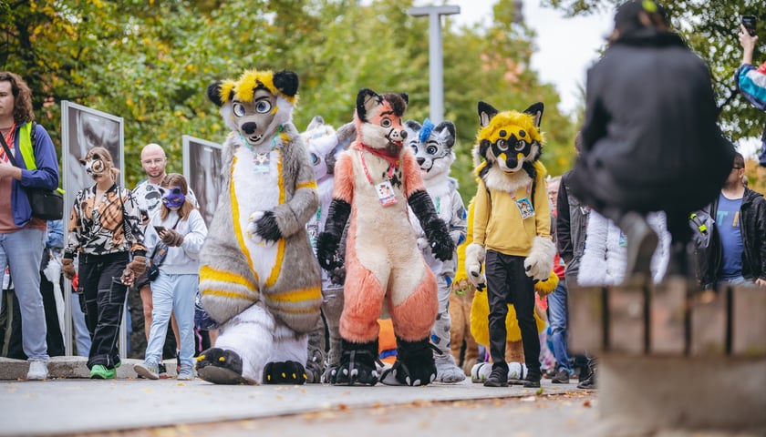Wrocławski Furwalk 2023