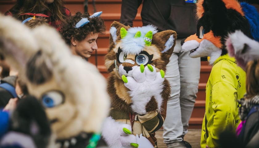 Wrocławski Furwalk 2023