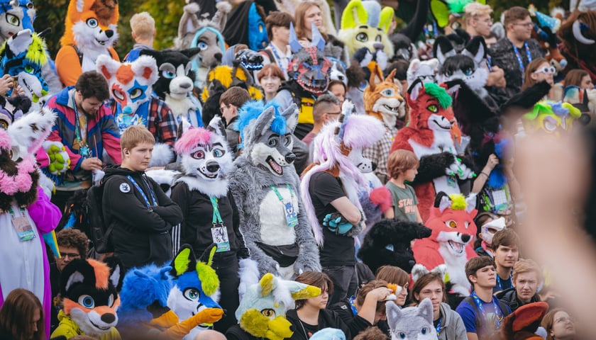 Wrocławski Furwalk 2023