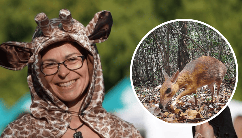 Kolaż dwóch zdjęć: portret uczestniczki jednej z poprzednich edycji biegu Wild Run, kobiety w stroju żyrafy, w kółku kanczyl srebrnogrzbiety.