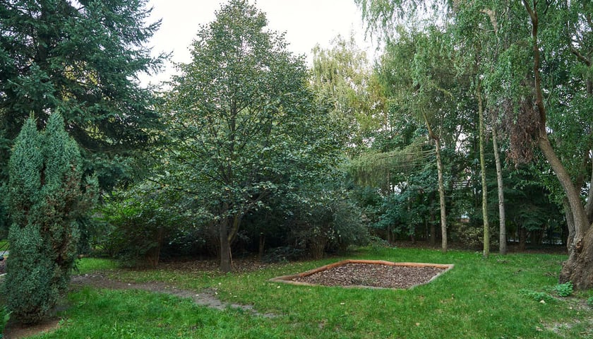 Muchoborski Zakątek Przygody, projekt nr 160 z WBO 2021.