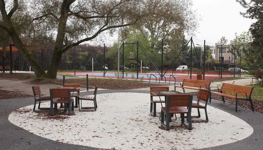 Park Rekreacyjny Mikołowska, drugi etap zagospodarowania, projekt nr 224 z WBO 2023.