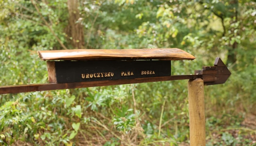Smocze Uroczysko - naturalistyczny park na osiedlu Strachocin-Swojczyce-Wojnów. Projekt nr 326 w WBO 2021.