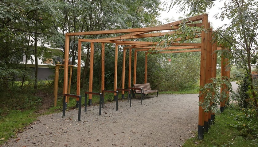 Smocze Uroczysko - naturalistyczny park na osiedlu Strachocin-Swojczyce-Wojnów. Projekt nr 326 w WBO 2021.