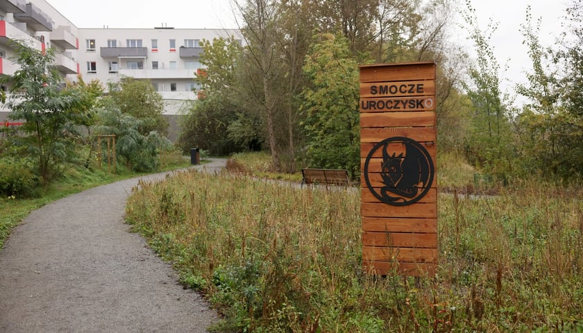 Smocze Uroczysko - naturalistyczny park na osiedlu Strachocin-Swojczyce-Wojnów. Projekt nr 326 w WBO 2021.