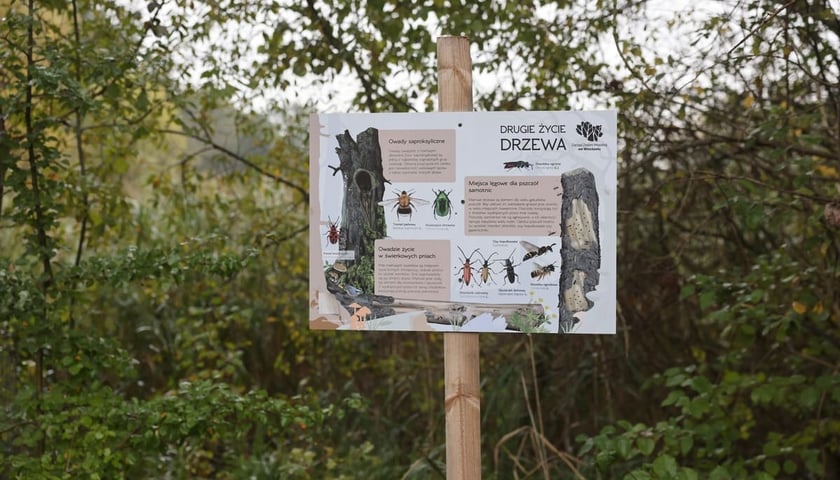 Smocze Uroczysko - naturalistyczny park na osiedlu Strachocin-Swojczyce-Wojnów. Projekt nr 326 w WBO 2021.