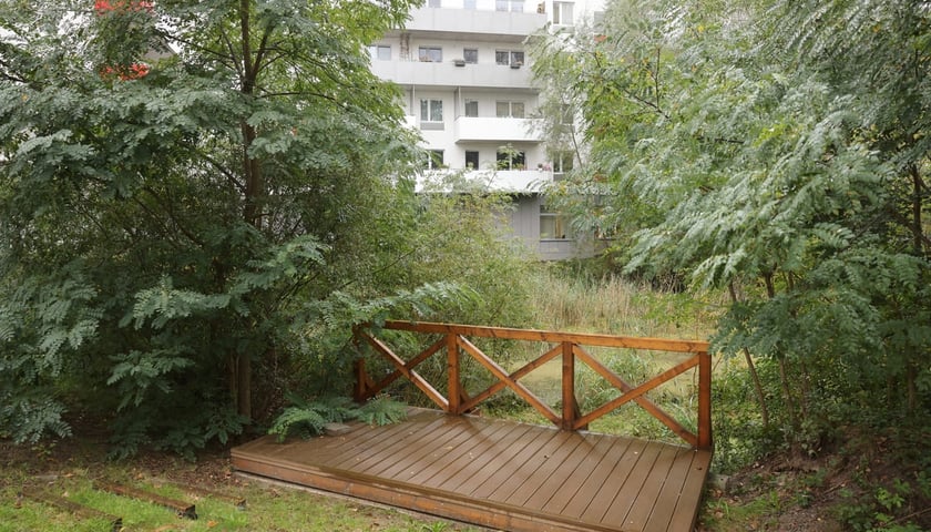 Smocze Uroczysko - naturalistyczny park na osiedlu Strachocin-Swojczyce-Wojnów. Projekt nr 326 w WBO 2021.