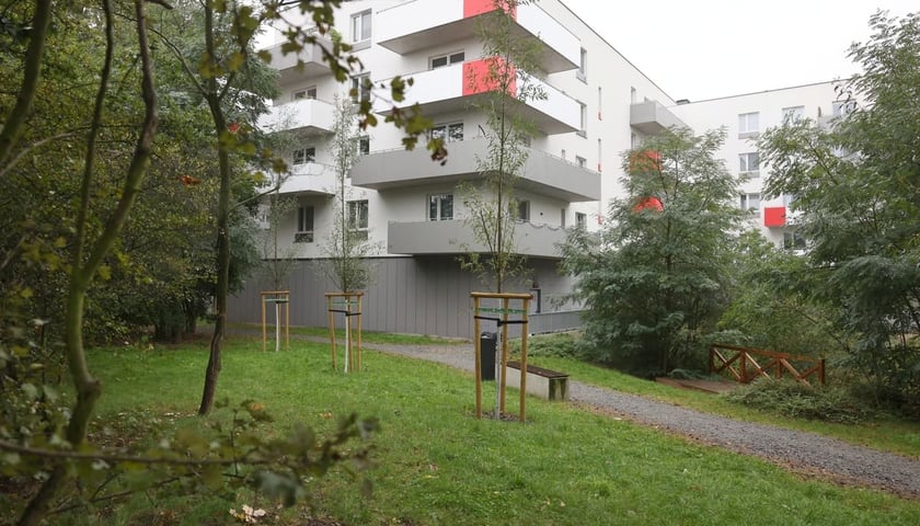 Smocze Uroczysko - naturalistyczny park na osiedlu Strachocin-Swojczyce-Wojnów. Projekt nr 326 w WBO 2021.