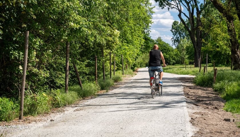 Trasa pieszo-rowerowa wzdłuż Oławy. Złożyły się na nią dwa projekty WBO: nr 4, który wygrał głosowanie w 2020 roku oraz nr 9 z 2021 roku.