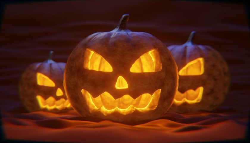 Na zdjęciu wydrążone dynie halloweenowe. Sprawdź, jakie wydarzenia odbywają się podczas Halloween 2024 we Wrocławiu!