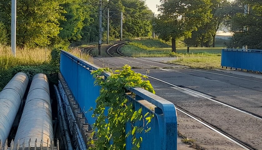 Most pilczycki stary