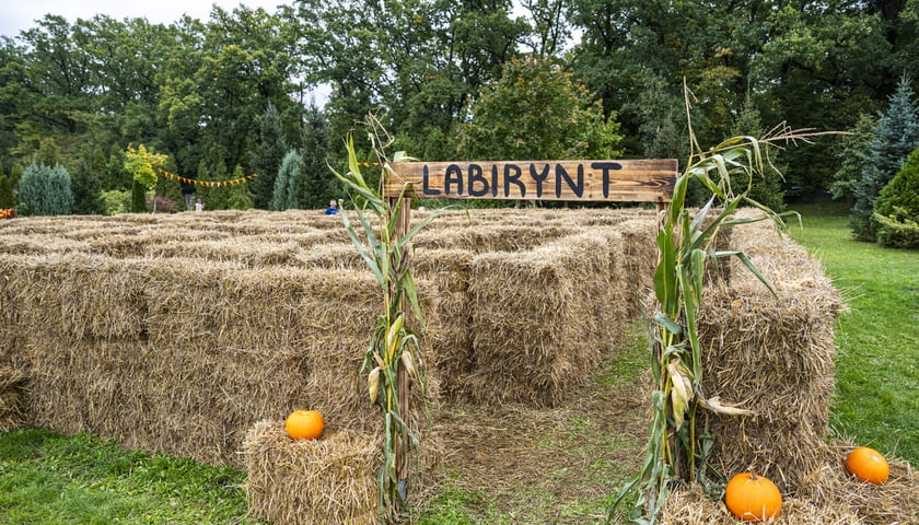 Dynowa Farma przy ul. Wróblewskiego 9, 05.10.2024