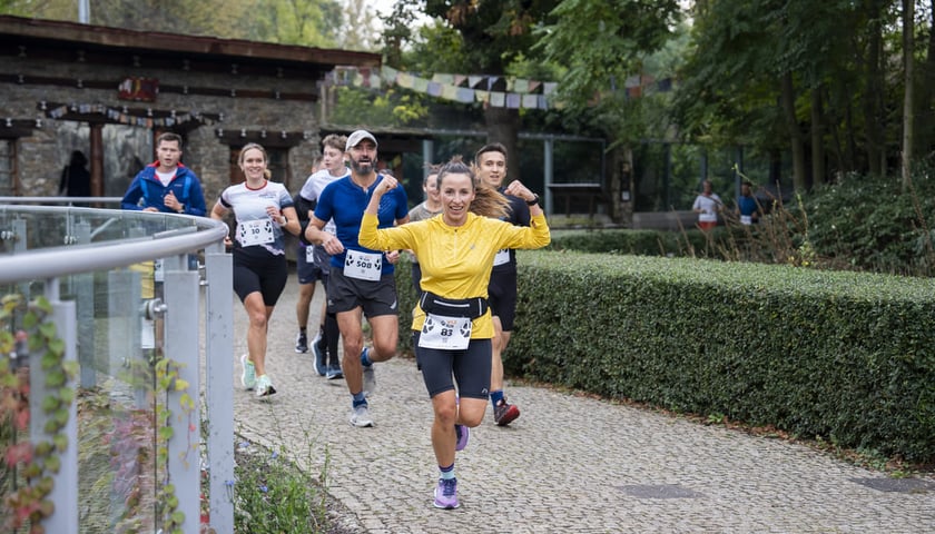 Bieg charytatywny Wild Run po wrocławskim zoo, 06.10.2024