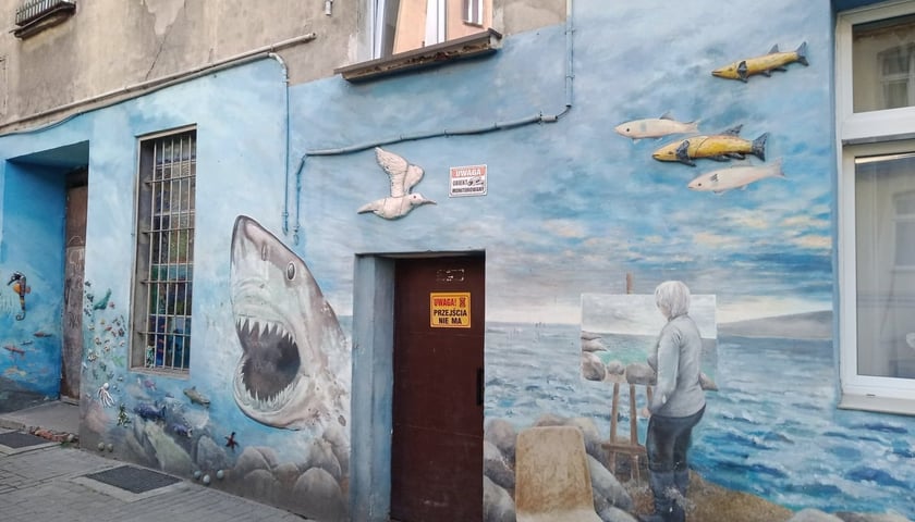 Tak obecnie prezentują się niemurale na kolorowych podwórkach we Wrocławiu.