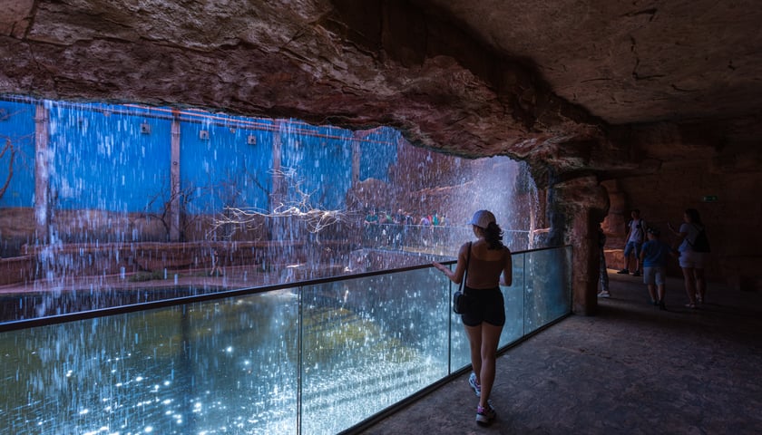 Wnętrze Afrykarium we Wrocławiu.