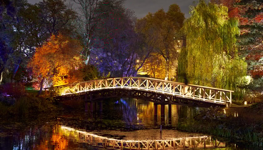 Na zdjęciu poświetlony Ogród Botaniczny we Wrocławiu.
