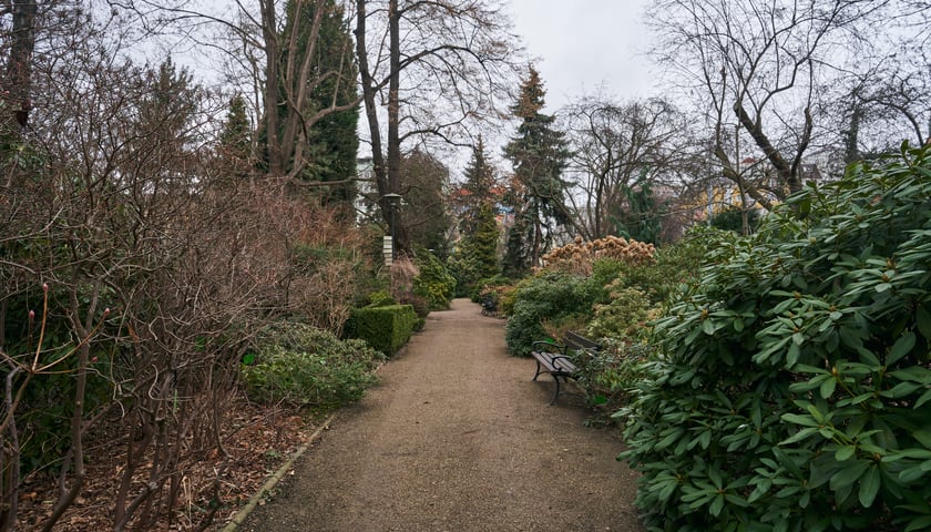 Ogród Botaniczny we Wrocławiu.