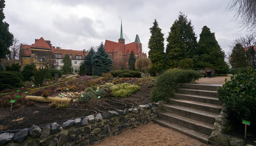 Ogród Botaniczny we Wrocławiu.