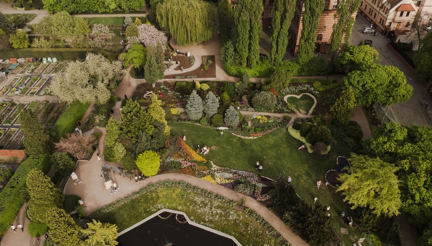 Na zdjęciu widok na Ogród Botaniczny we Wrocławiu. Sprawdź ceny biletów i godziny otwarcia obiektu!
