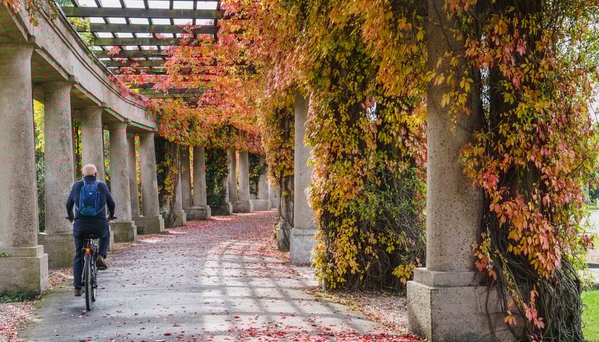 Pergola we Wrocławiu.