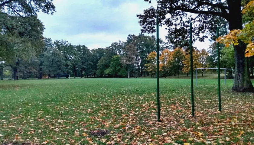 Boisko w parku biskupińskim bez ogrodzenia, 15.10.2024