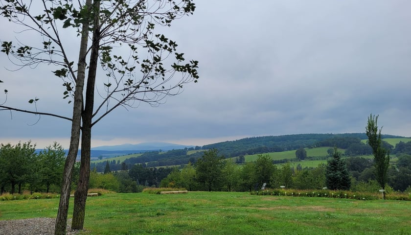 Krajobraz na terenie Arboretum w Wojsławicach.
