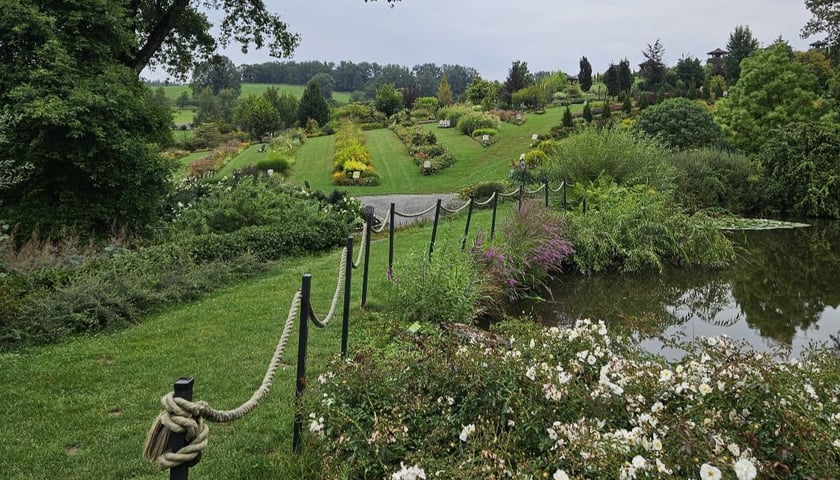 Wojsławickie Arboretum w jesiennym wydaniu.