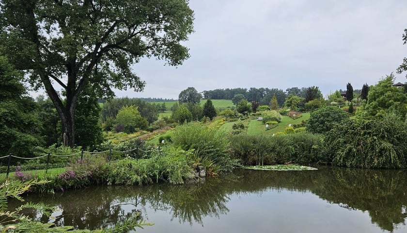 Jesień w Arboretum UWr w Wojsławicach.