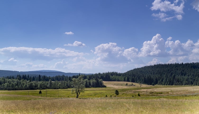 Na zdjęciu krajobraz Gór Izerskich.