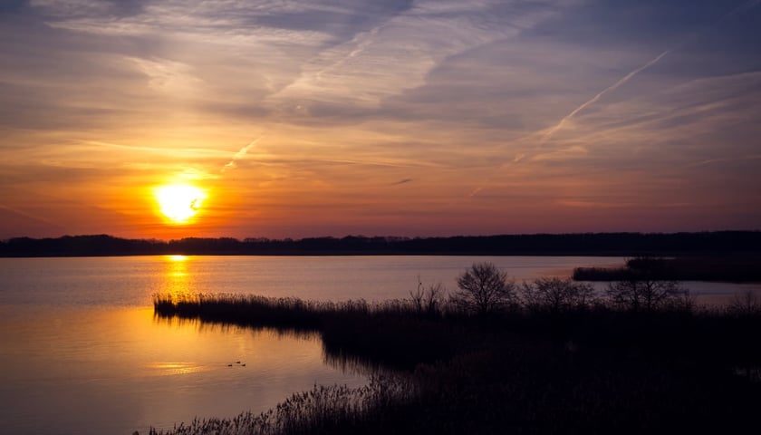 Na zdjęciu panorama Stawów Milickich.