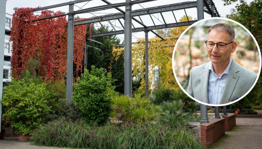 Pozostałości historycznej Palmiarni, w owalu prof. Zygmunt Kącki, dyrektor Ogrodu Botanicznego we Wrocławiu