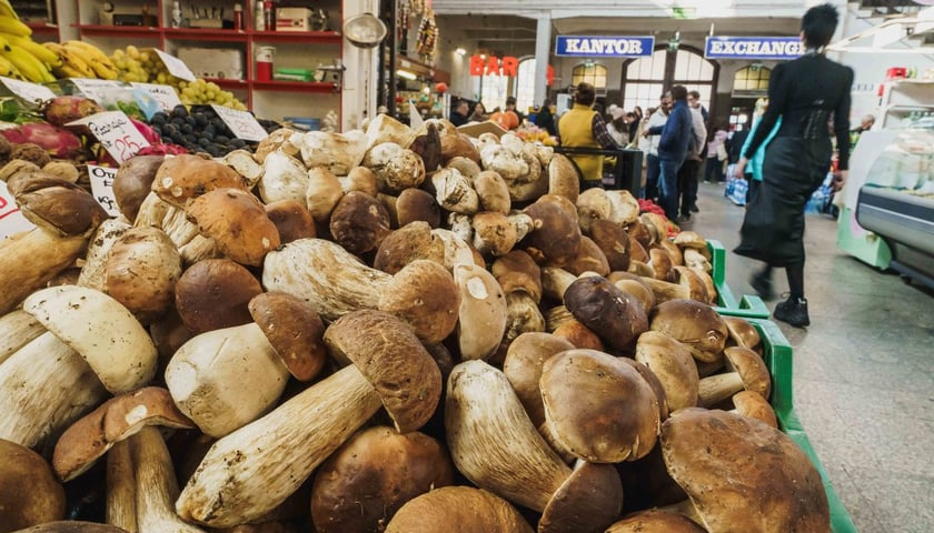 Stoisko z grzybami w Hali Targowej, październik 2024